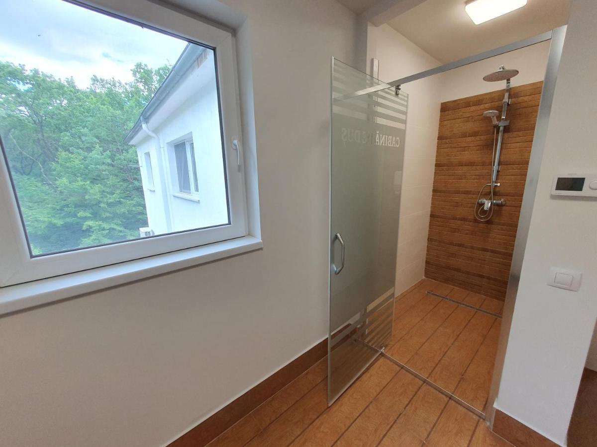 Cornul Vanatorului Hotel Pitesti