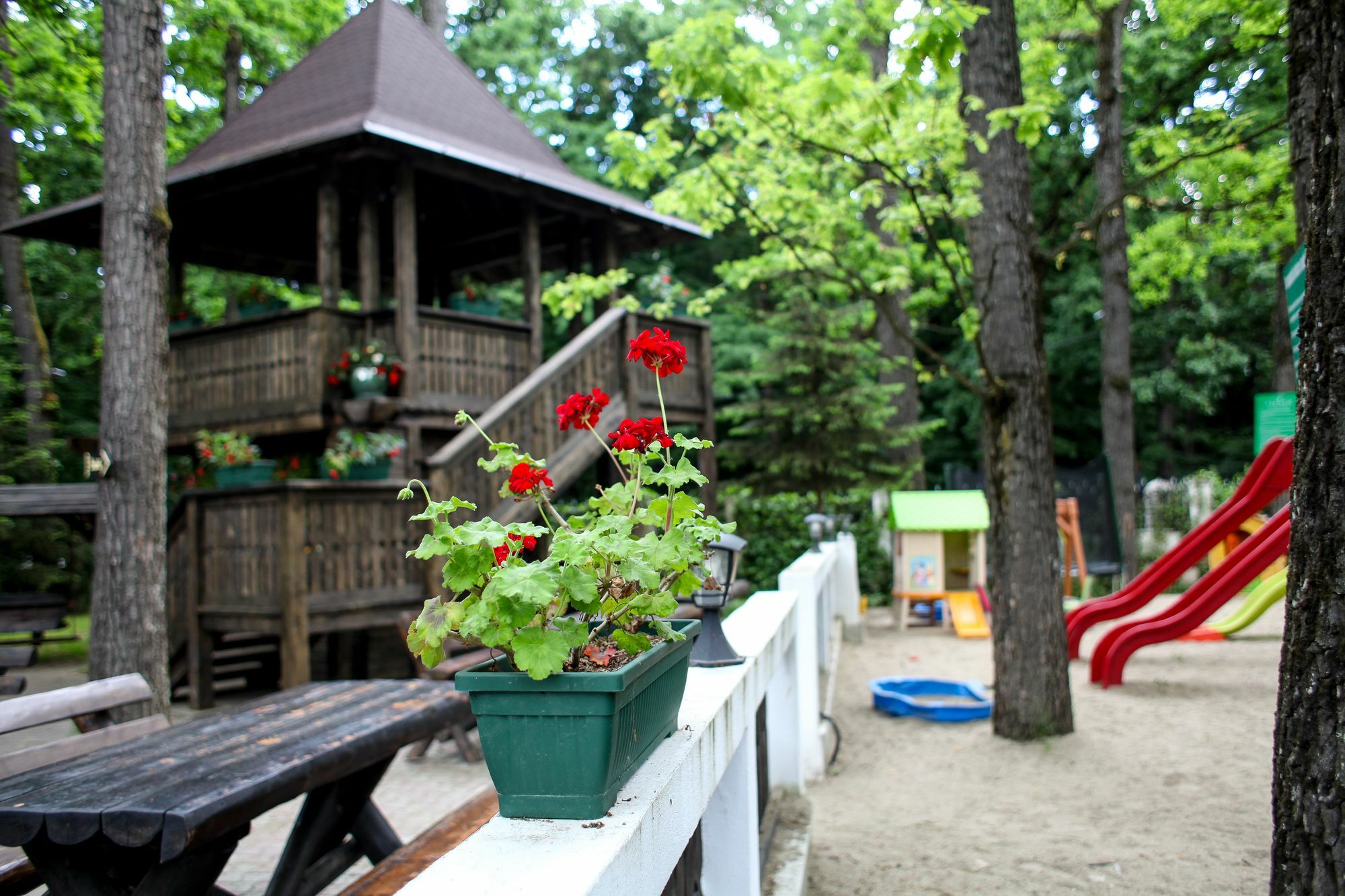 Cornul Vanatorului Hotel
